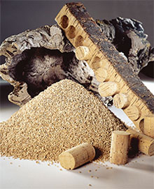 View: raw cork