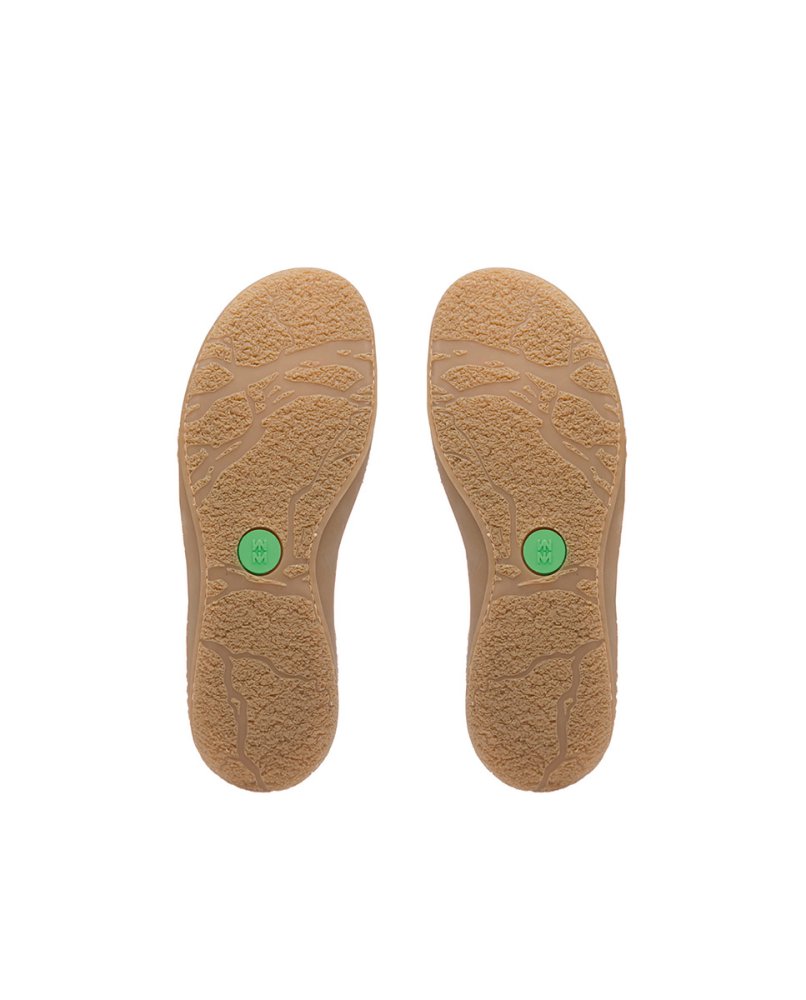 N5381 PLEASANT WOOD / AMAZONAS