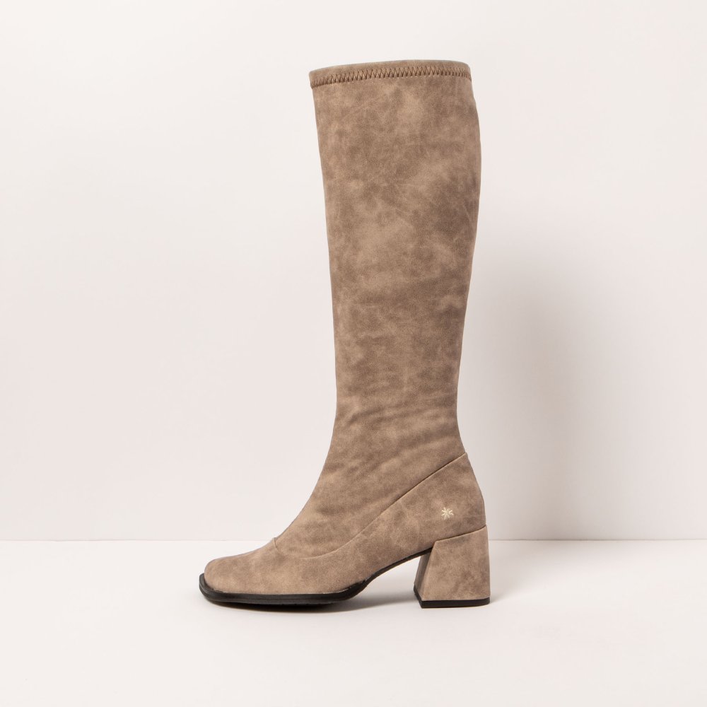 1708 ELDER BEIG/ VERONA