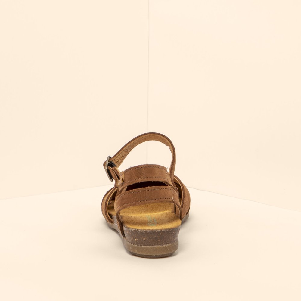 N5207 PLEASANT WOOD/ STELLA