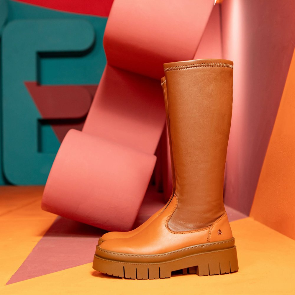 1956 NAPPA BLACK/AMBERES