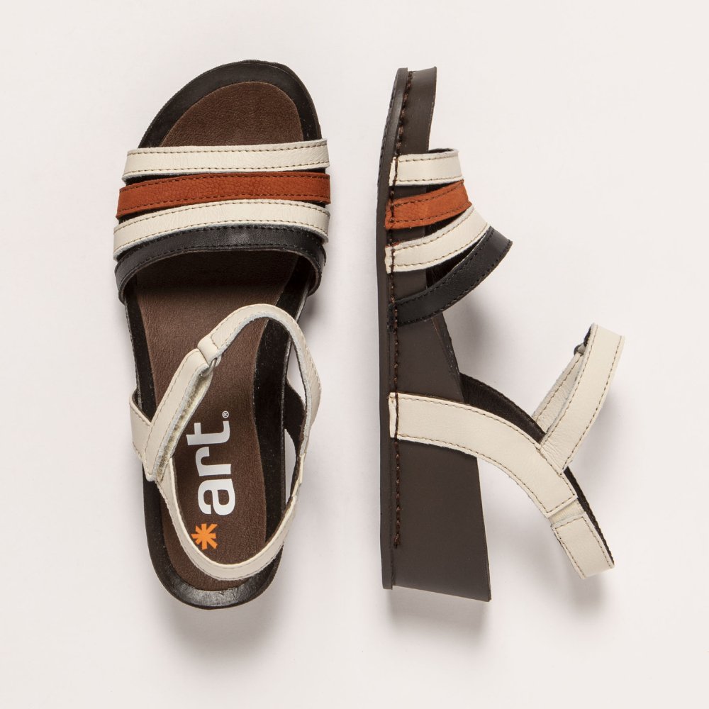 1943 MULTI CREAM-BLACK/ I IMAGINE