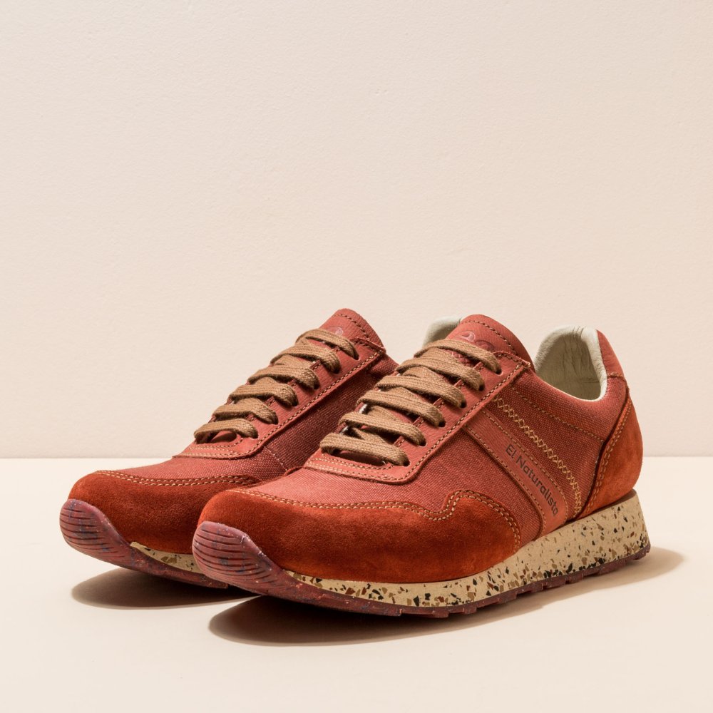 NSP01 SEAWEED CORAL/ SEA PROJECT