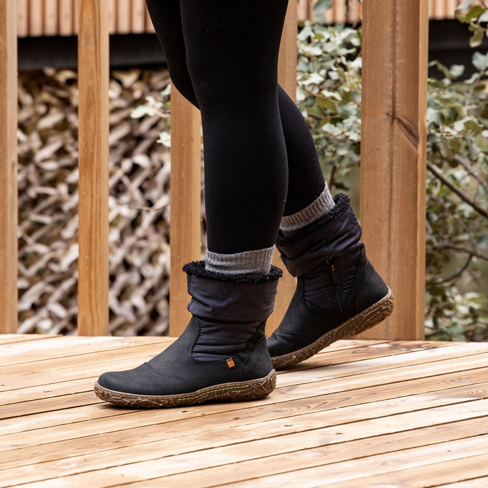 N758A PLEASANT FOREST/ NIDO