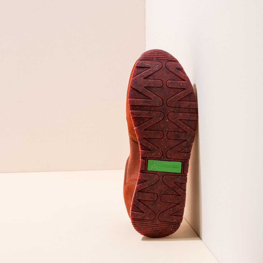 NSP01 SEAWEED CORAL/ SEA PROJECT