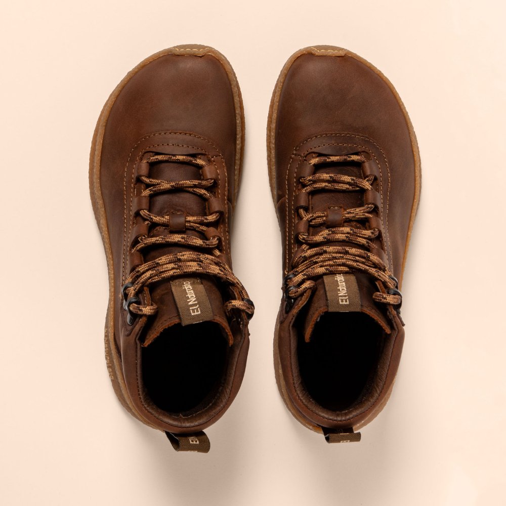 N5436 ARIZONA TERRA/OROEL