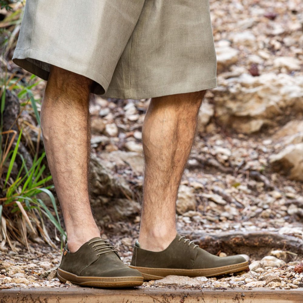 N5381 PLEASANT WOOD / AMAZONAS