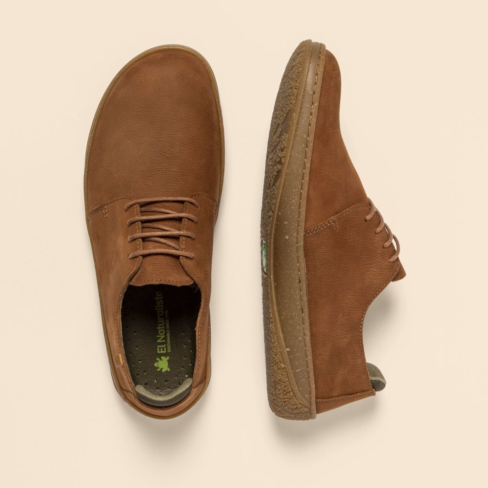 N5381 PLEASANT WOOD / AMAZONAS