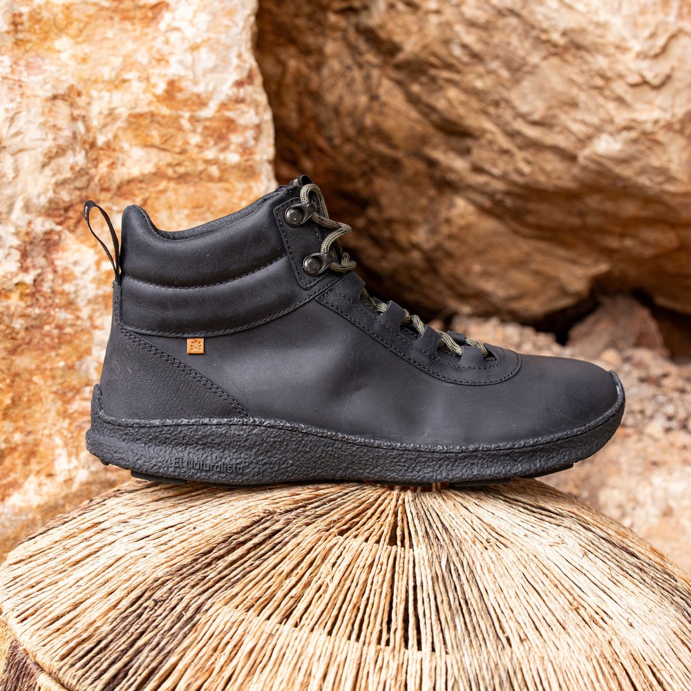 N5436 ARIZONA TERRA/OROEL