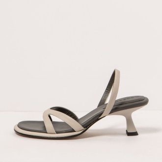 S3168 CRISTAL DOVE/ GODELLO