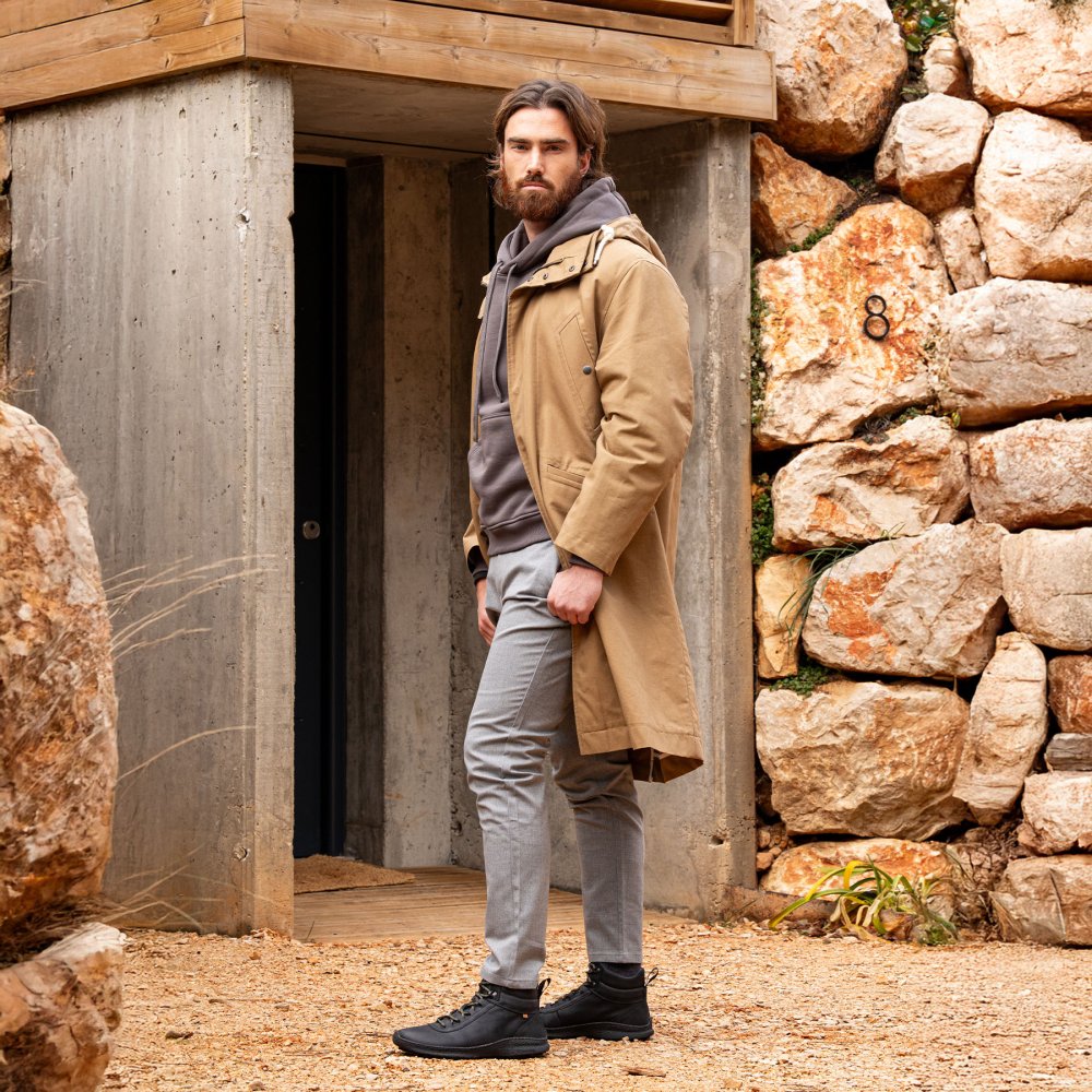 N5436 ARIZONA TERRA/OROEL