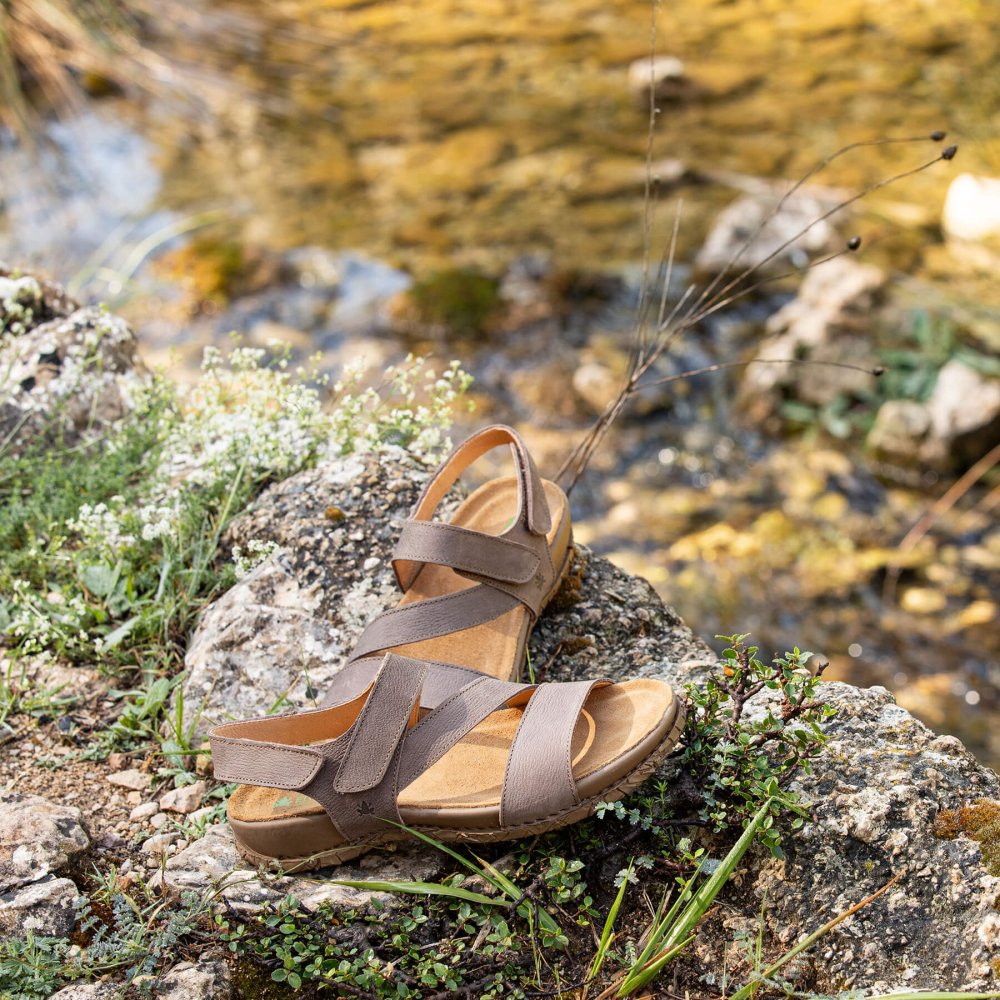 N5860 PLEASANT PLUME / TABERNAS