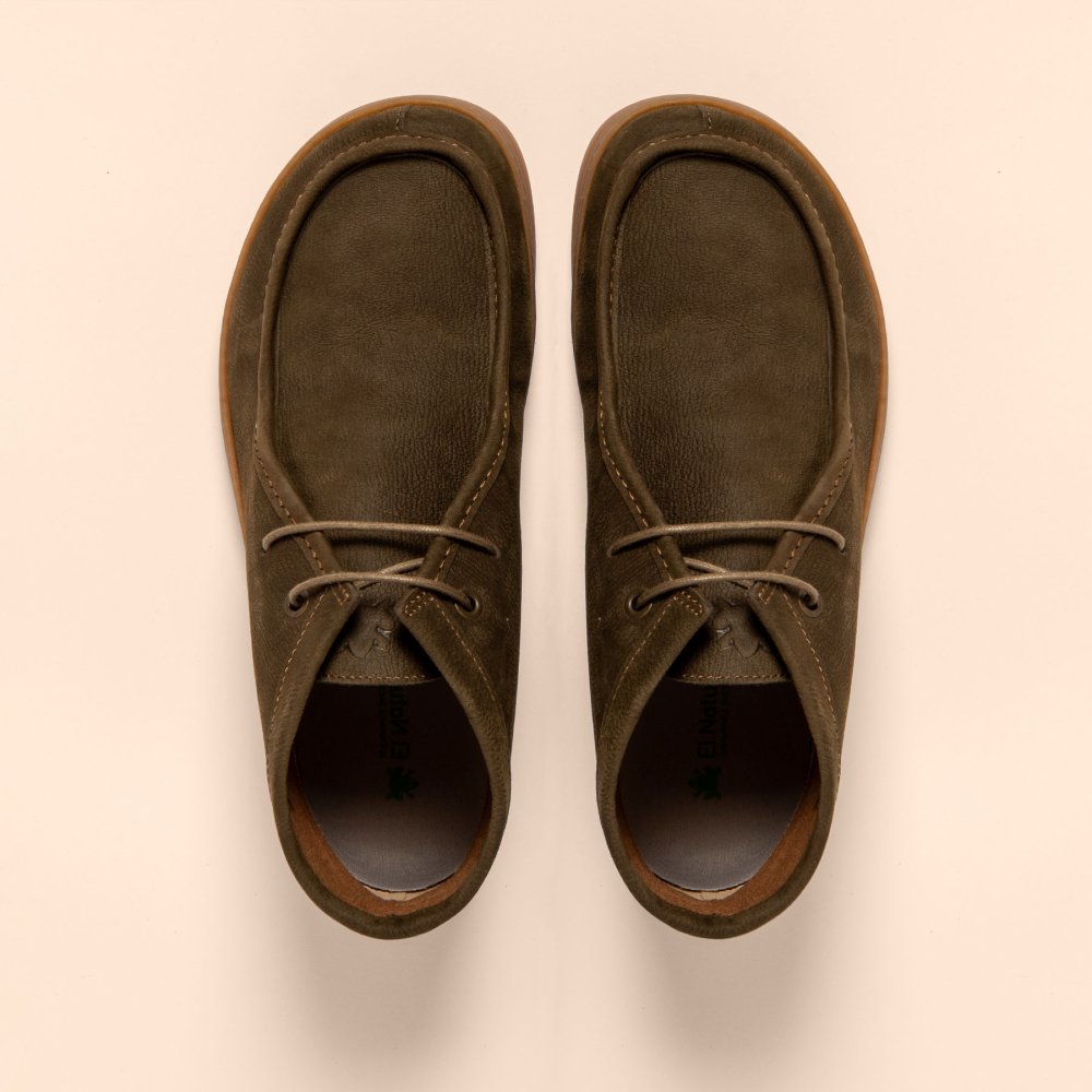 N5917 PLEASANT FOREST/ ORIGEN