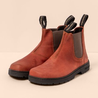 N5262 ARIZONA CALDERA / NOMADA