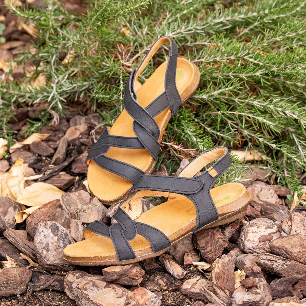 N5079 NOBUCK LAVADO MALVA / WAKATAUA