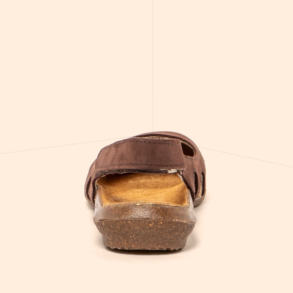 N413 PLEASANT BROWN / WAKATAUA