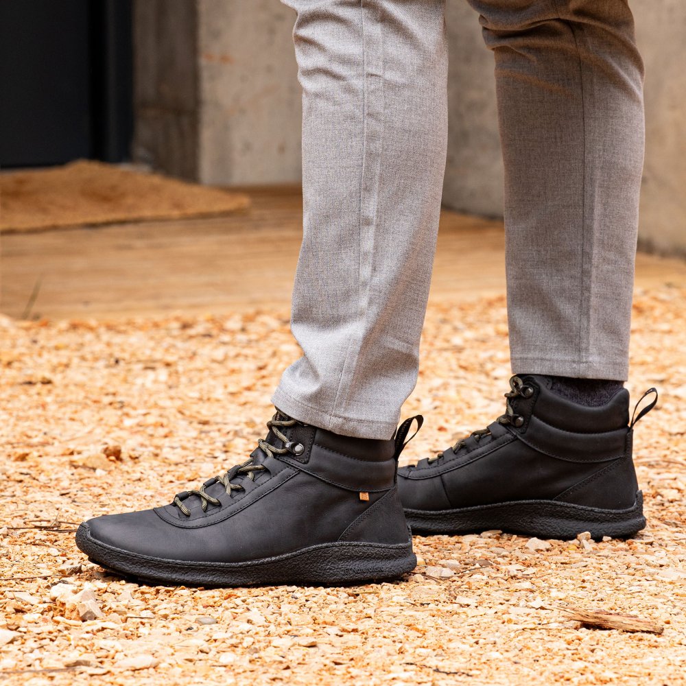 N5436 ARIZONA TERRA/OROEL