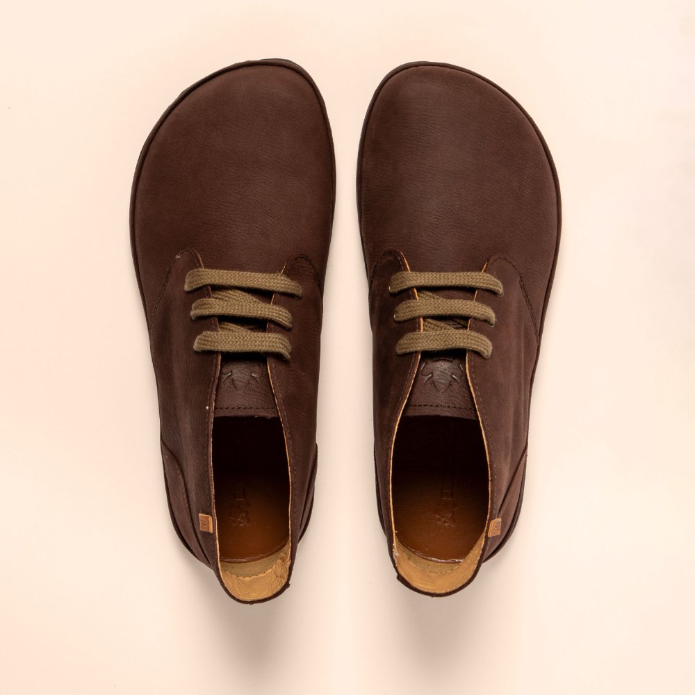 N5374 PLEASANT BROWN / TRIBU