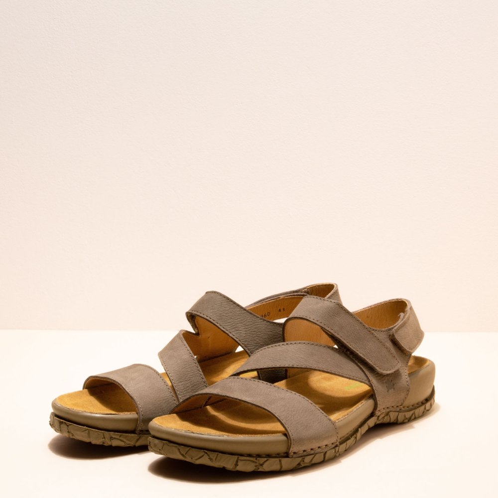 N5860 PLEASANT PLUME / TABERNAS