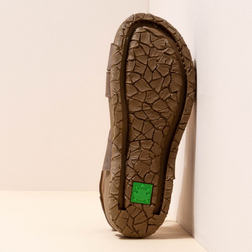 N5860 PLEASANT PLUME / TABERNAS