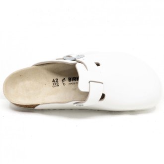 Boston White
