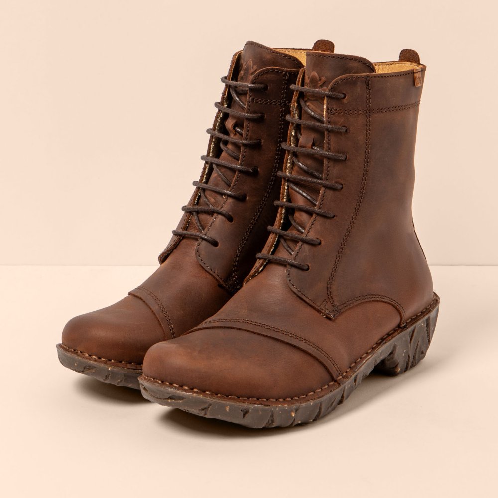 NG57 ARIZONA TERRA / YGGDRASIL