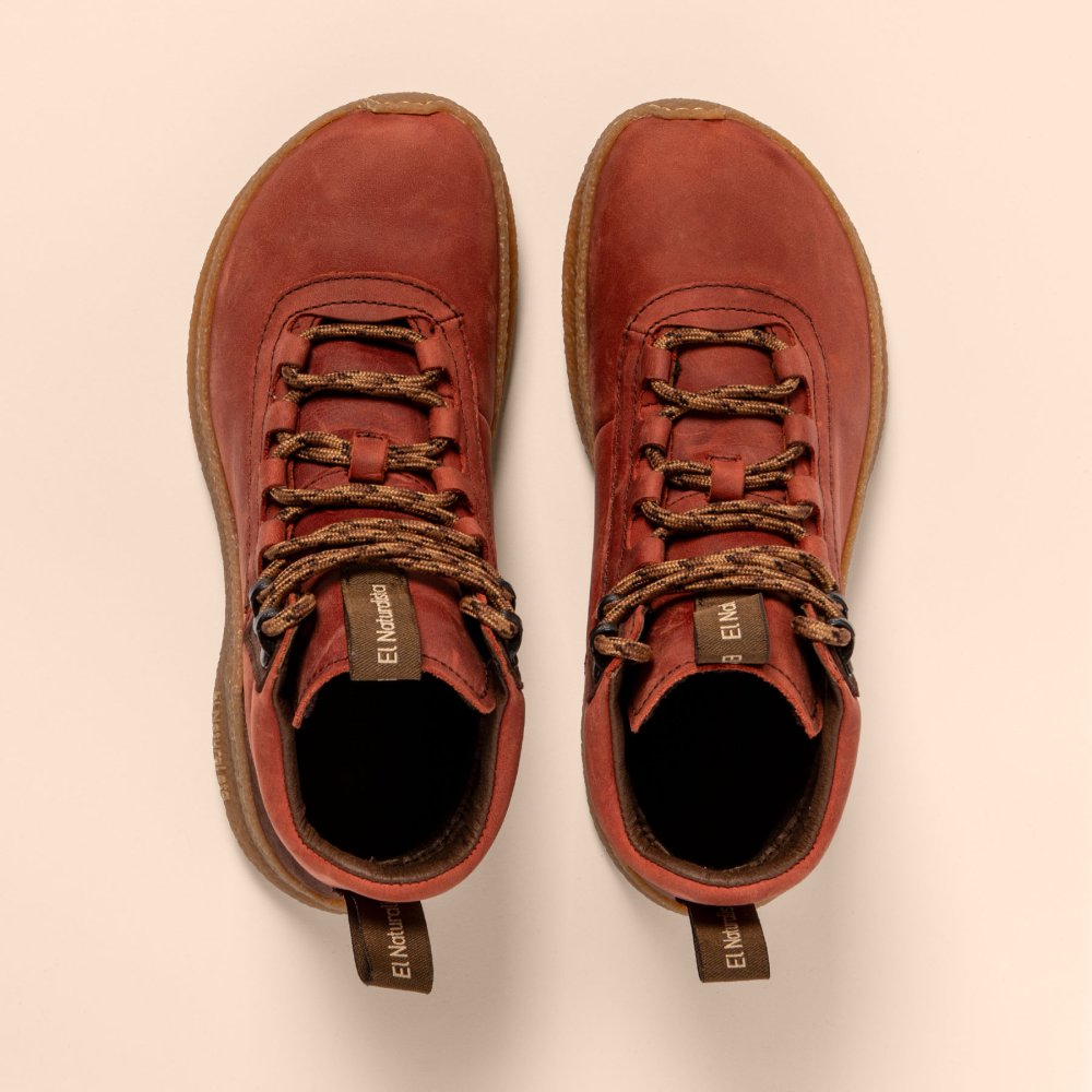 N5436 ARIZONA CALDERA/OROEL