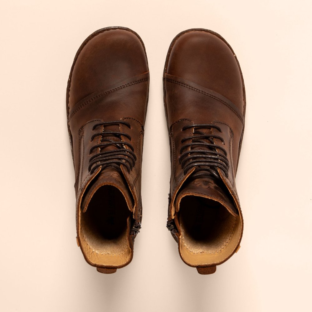 NG57 ARIZONA TERRA / YGGDRASIL