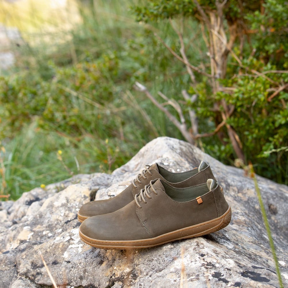 N5381 PLEASANT WOOD / AMAZONAS