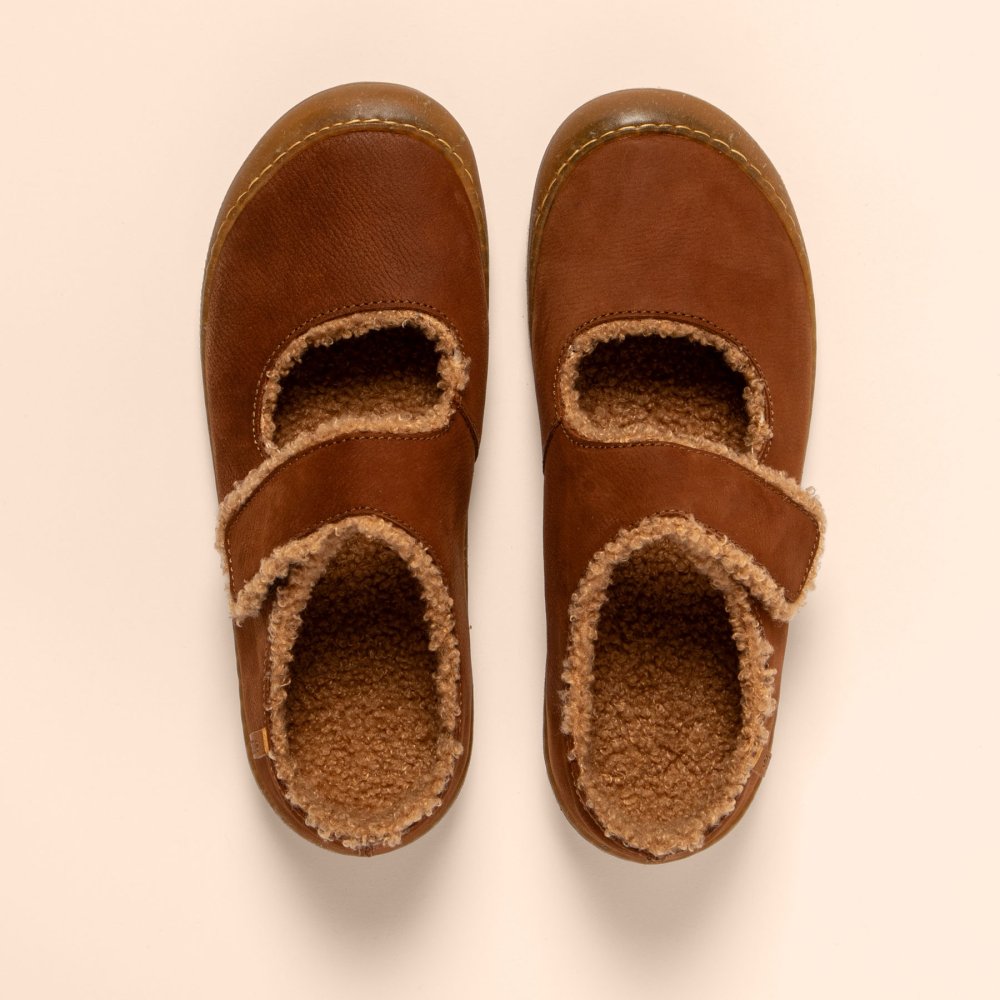 N5739 PLEASANT WOOD/ PAWIKAN