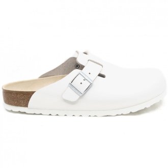 Boston White