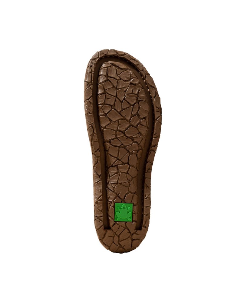 N5860 PLEASANT PLUME / TABERNAS