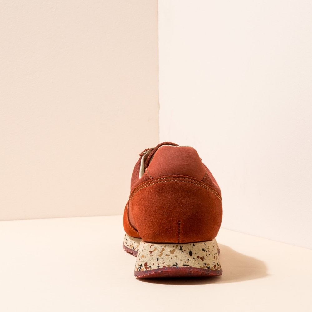 NSP01 SEAWEED CORAL/ SEA PROJECT