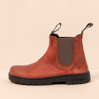 N5262 ARIZONA CALDERA / NOMADA