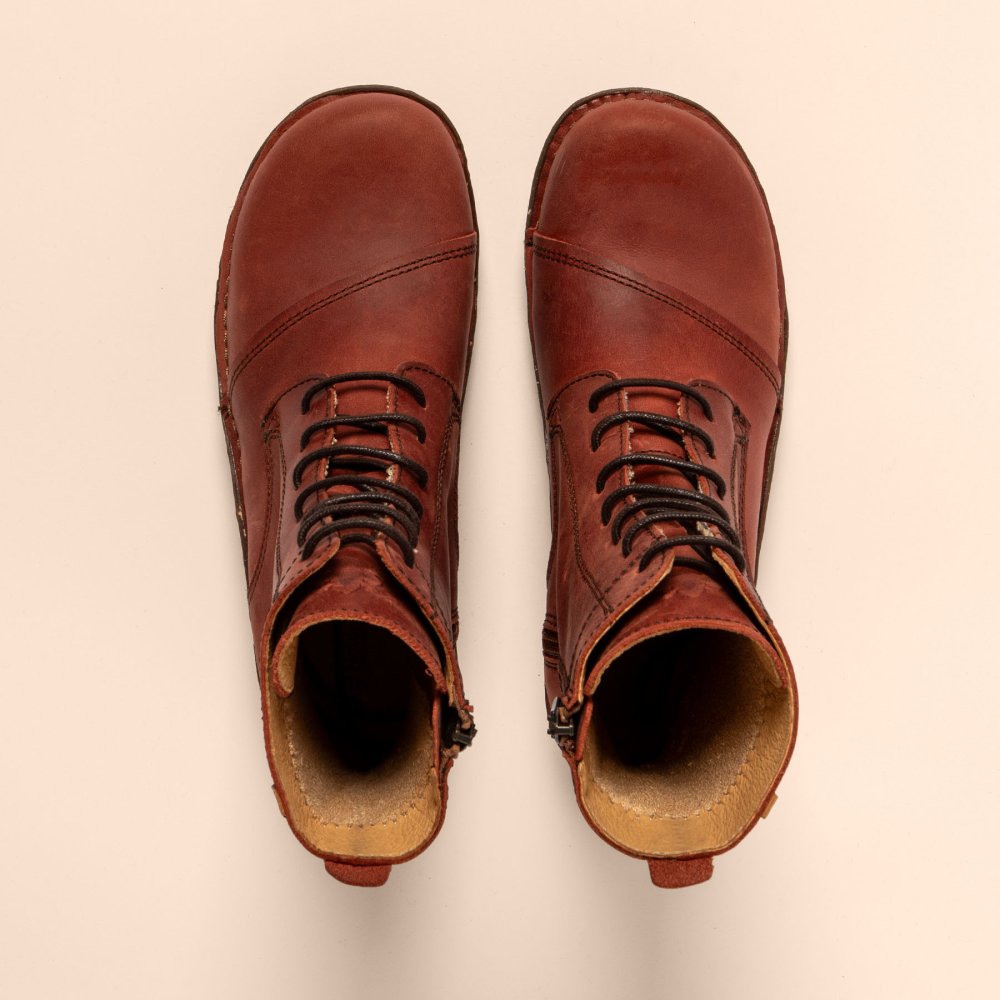 NG57 ARIZONA CALDERA / YGGDRASIL