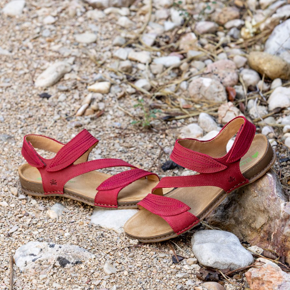 N5810 NOBUCK LAVADO MALVA/PANGLAO