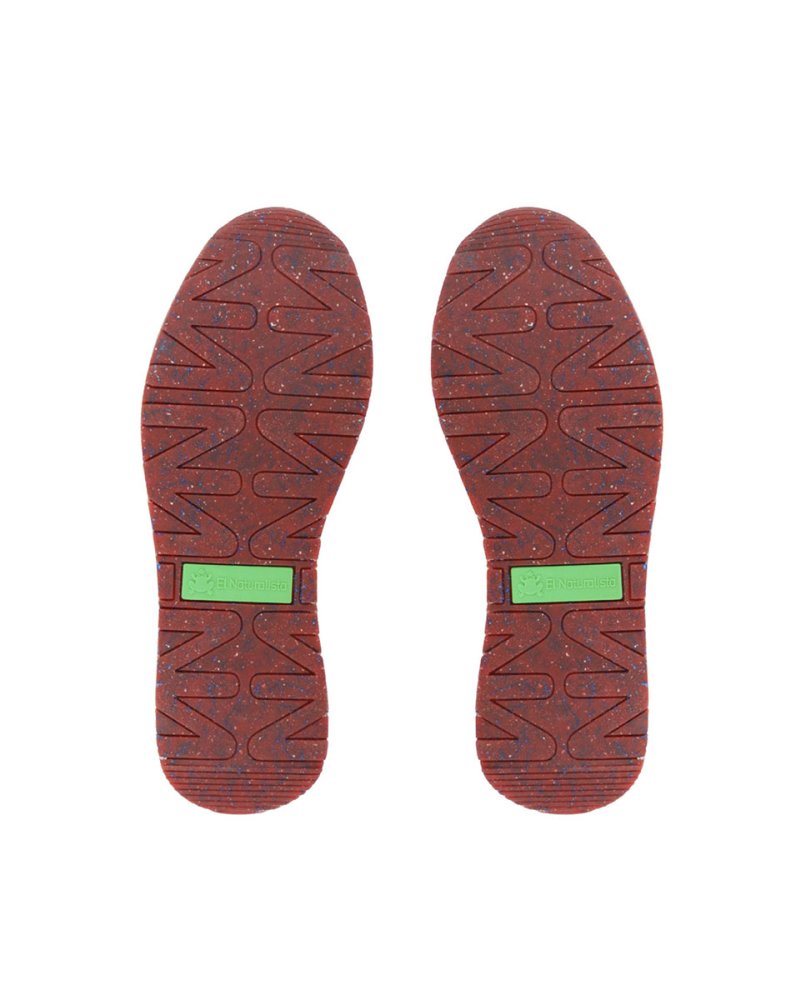 NSP01 SEAWEED CORAL/ SEA PROJECT