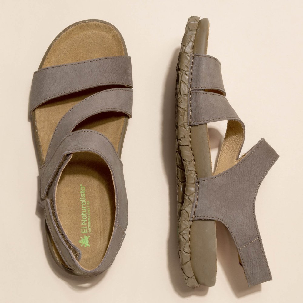 N5860 PLEASANT PLUME / TABERNAS