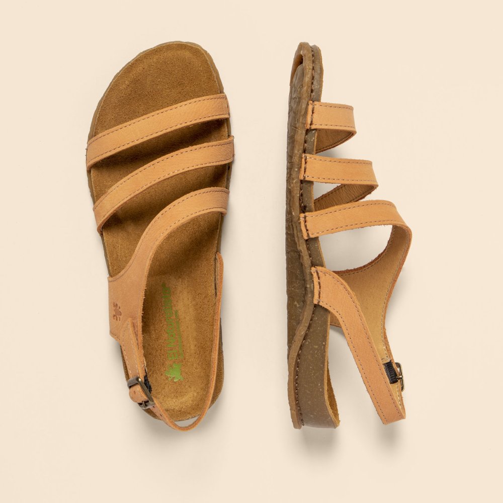 N5811 PLEASANT PEACH/PANGLAO