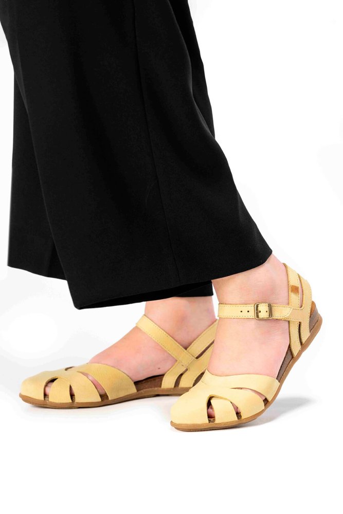 N5207 PLEASANT WOOD/ STELLA