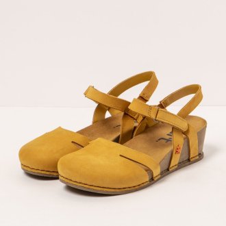 1931 NOBUCK HONEY/ I LIVE