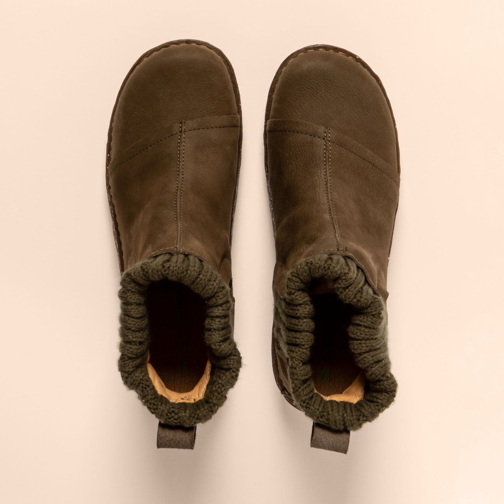 NE23 PLEASANT FOREST/ YGGDRASIL